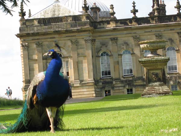 ../image/web_70_castle_howard.jpg