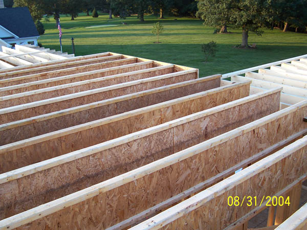 10morejoists.jpg